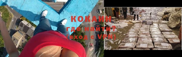 шишки Белоозёрский