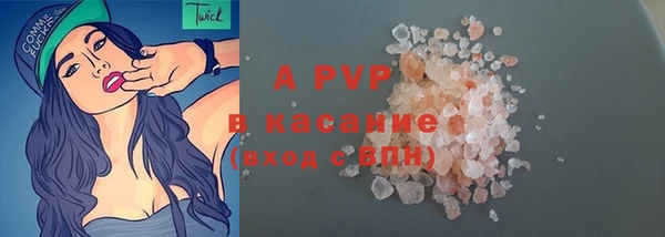 прущие грибы Богородицк