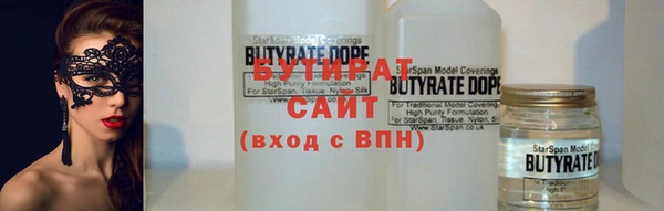 шишки Белоозёрский