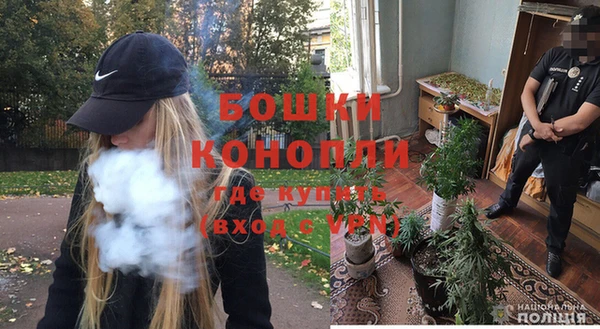 кокаин Богданович