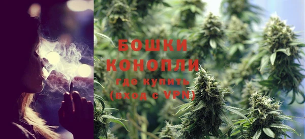 прущие грибы Богородицк