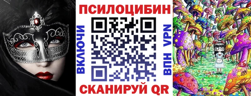 Купить закладки  Бобров  Галлюциногенные грибы Psilocybe 